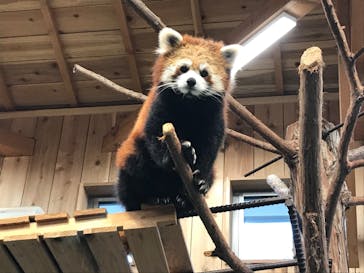 伊豆シャボテン動物公園に投稿された画像（2021/4/19）