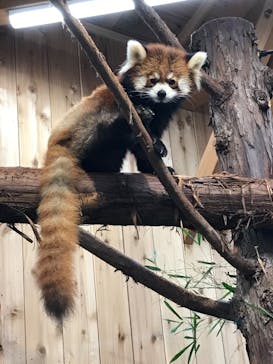 伊豆シャボテン動物公園に投稿された画像（2021/4/19）