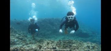 MalDive（モルダイブ）に投稿された画像（2021/4/19）