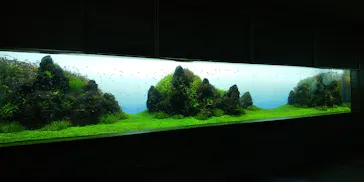 すみだ水族館に投稿された画像（2021/4/19）