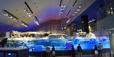 すみだ水族館に投稿された画像（2021/4/19）