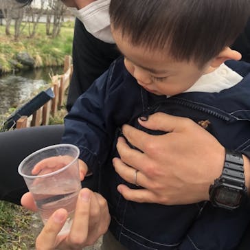 サケのふるさと 千歳水族館に投稿された画像（2021/4/19）