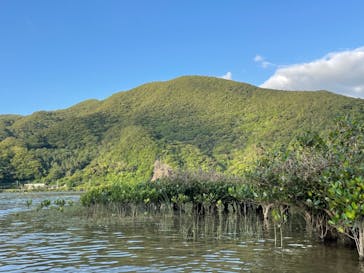 マングローブ茶屋に投稿された画像（2021/4/19）