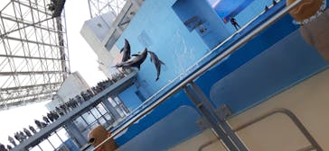 横浜・八景島シーパラダイスに投稿された画像（2021/4/19）