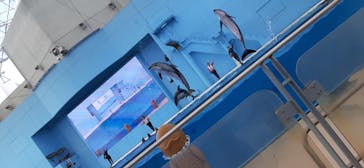 横浜・八景島シーパラダイスに投稿された画像（2021/4/19）