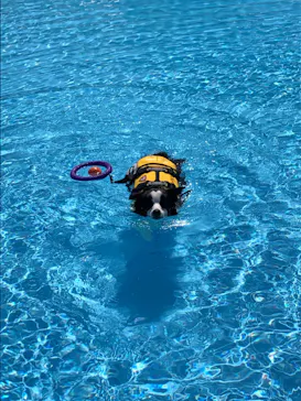 わんダフルネイチャーヴィレッジに投稿された画像（2021/4/19）