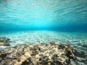 青の洞窟専門店　沖縄ダイビングショップ和に投稿された画像（2021/4/19）