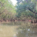 マングローブ茶屋に投稿された画像（2021/4/19）