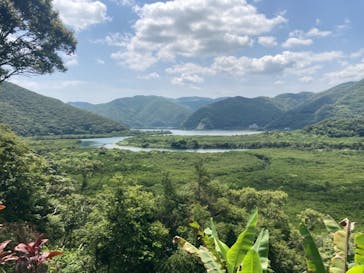 マングローブ茶屋に投稿された画像（2021/4/19）