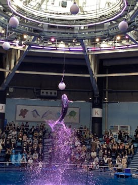 マクセル アクアパーク品川に投稿された画像（2021/4/19）