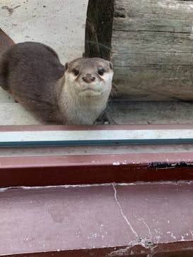 横浜・八景島シーパラダイスに投稿された画像（2021/4/19）