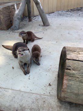 横浜・八景島シーパラダイスに投稿された画像（2021/4/19）