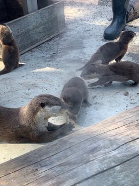 横浜・八景島シーパラダイスに投稿された画像（2021/4/19）