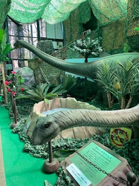 千葉こどもの国 キッズダムに投稿された画像（2021/4/19）