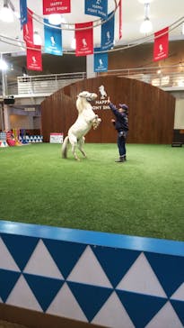 ノーザンホースパークに投稿された画像（2021/4/19）