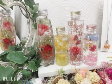 ずこうしつ〜sugamo〜に投稿された画像（2021/4/20）