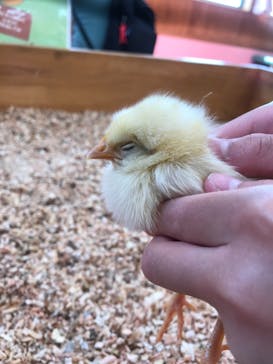 東武動物公園に投稿された画像（2021/4/20）