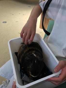 東武動物公園に投稿された画像（2021/4/20）