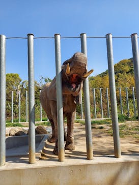 しろとり動物園に投稿された画像（2021/4/20）