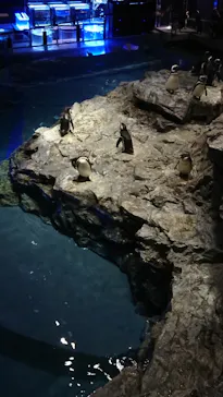 すみだ水族館に投稿された画像（2021/4/20）