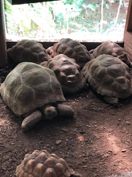 伊豆アニマルキングダムに投稿された画像（2021/4/20）