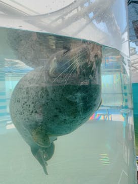 京都水族館に投稿された画像（2021/4/20）
