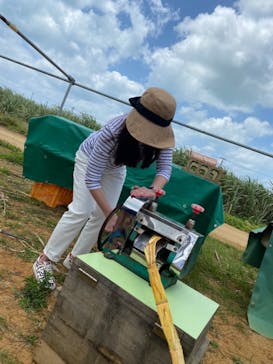 オルタナティブファーム宮古に投稿された画像（2021/4/20）