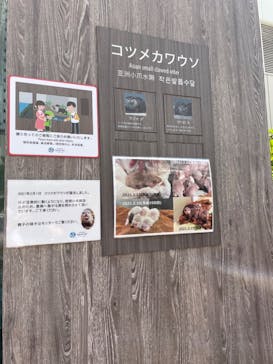 サンシャイン水族館に投稿された画像（2021/4/20）