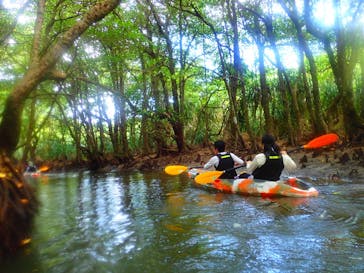 西表島 ADVENTURE PiPi（アドベンチャーピピ）に投稿された画像（2021/4/20）