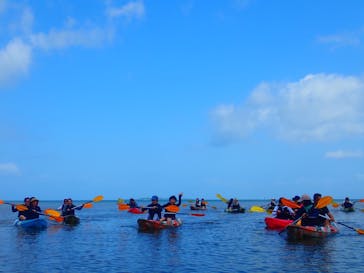 西表島 ADVENTURE PiPi（アドベンチャーピピ）に投稿された画像（2021/4/20）