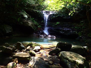 西表島 ADVENTURE PiPi（アドベンチャーピピ）に投稿された画像（2021/4/20）