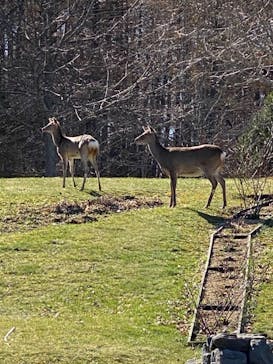 ノーザンホースパークに投稿された画像（2021/4/20）