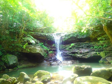 西表島 ADVENTURE PiPi（アドベンチャーピピ）に投稿された画像（2021/4/20）