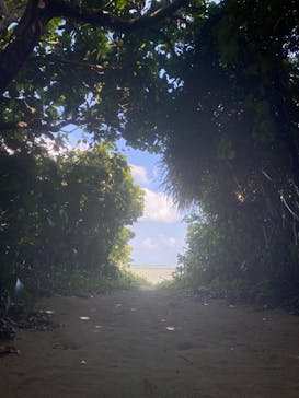 西表島 ADVENTURE PiPi（アドベンチャーピピ）に投稿された画像（2021/4/20）