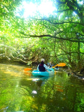 西表島 ADVENTURE PiPi（アドベンチャーピピ）に投稿された画像（2021/4/20）