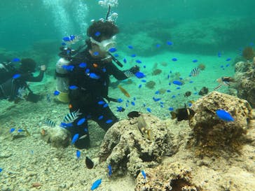 DIVING-SHOP SUNSに投稿された画像（2021/4/21）