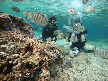 武藤潜水に投稿された画像（2021/4/21）