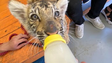 しろとり動物園に投稿された画像（2021/4/21）