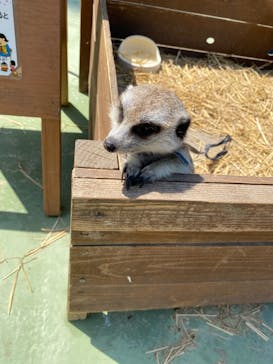 しろとり動物園に投稿された画像（2021/4/21）