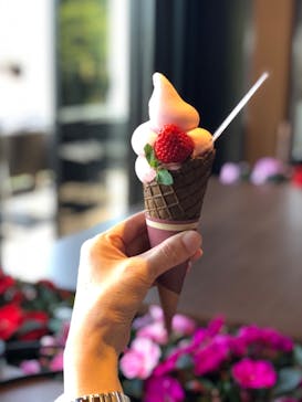 伊豆パノラマパークに投稿された画像（2021/4/21）