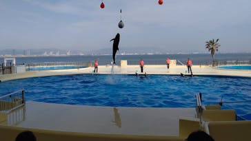 マリンワールド海の中道に投稿された画像（2021/4/21）