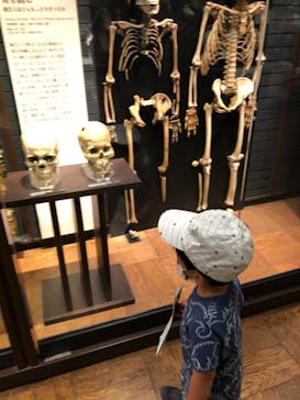 国立科学博物館に投稿された画像（2021/4/21）