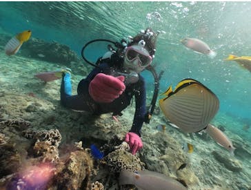 DIVING-SHOP SUNSに投稿された画像（2021/4/21）