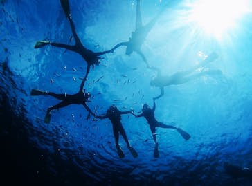 MalDive（モルダイブ）に投稿された画像（2021/4/22）