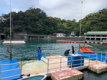 下田海中水族館に投稿された画像（2021/4/22）