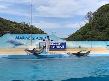 下田海中水族館に投稿された画像（2021/4/22）