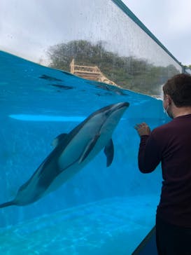 下田海中水族館に投稿された画像（2021/4/22）