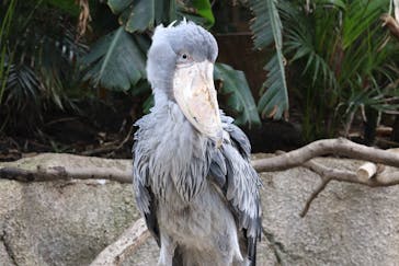 那須どうぶつ王国に投稿された画像（2021/4/22）