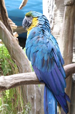 那須どうぶつ王国に投稿された画像（2021/4/22）