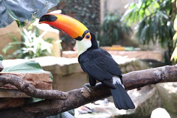 那須どうぶつ王国に投稿された画像（2021/4/22）